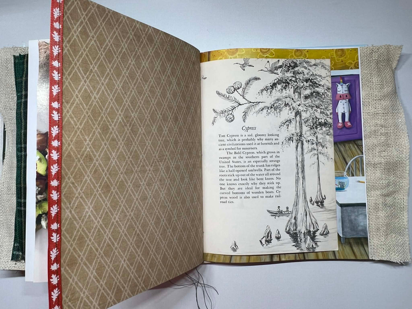 Junk Journal: Dragonboy