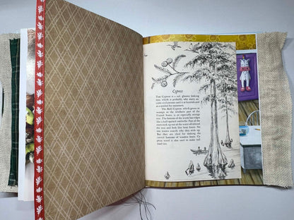 Junk Journal: Dragonboy