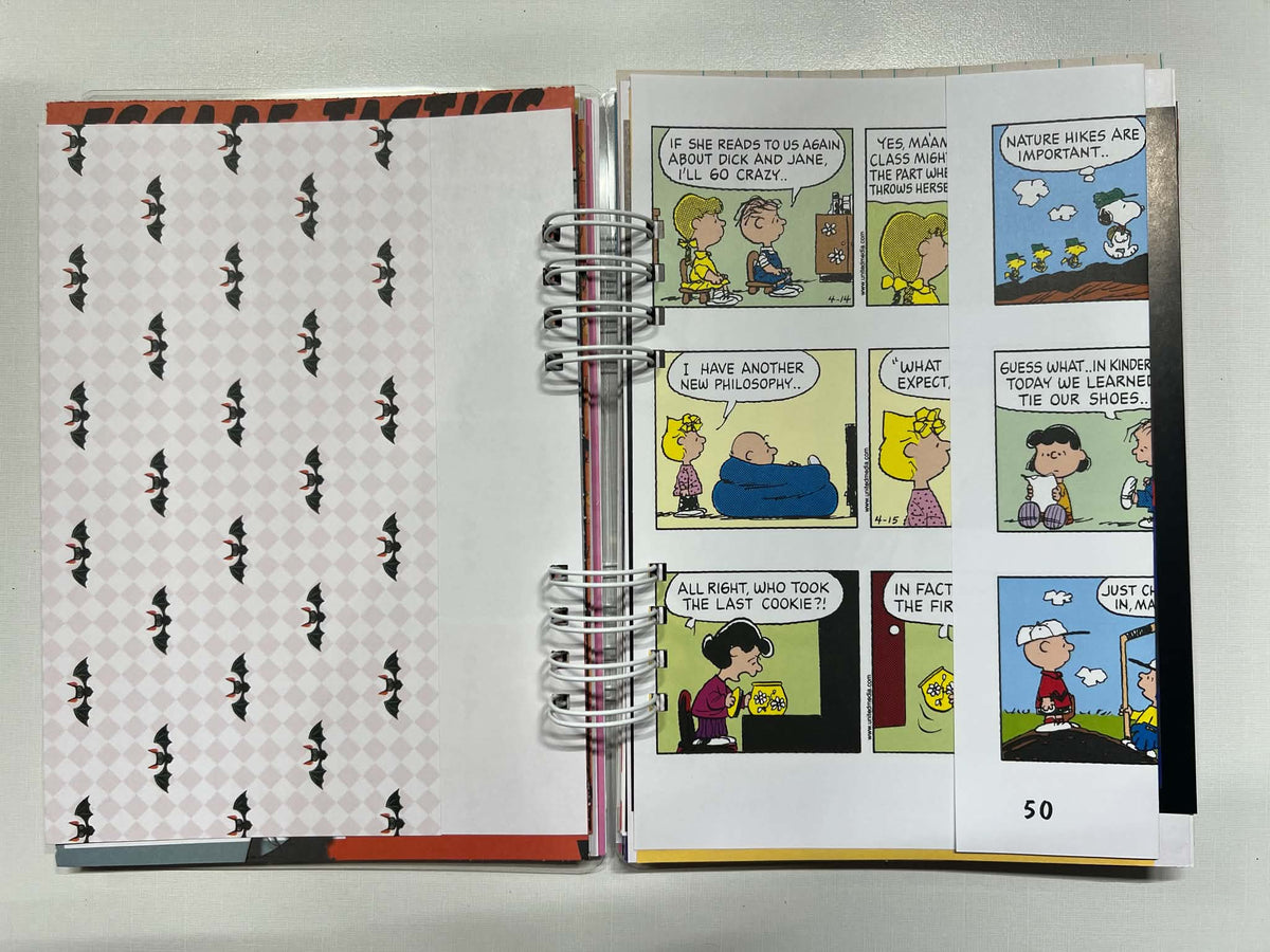 Junk Journal: You Got A Rock Charlie Brown