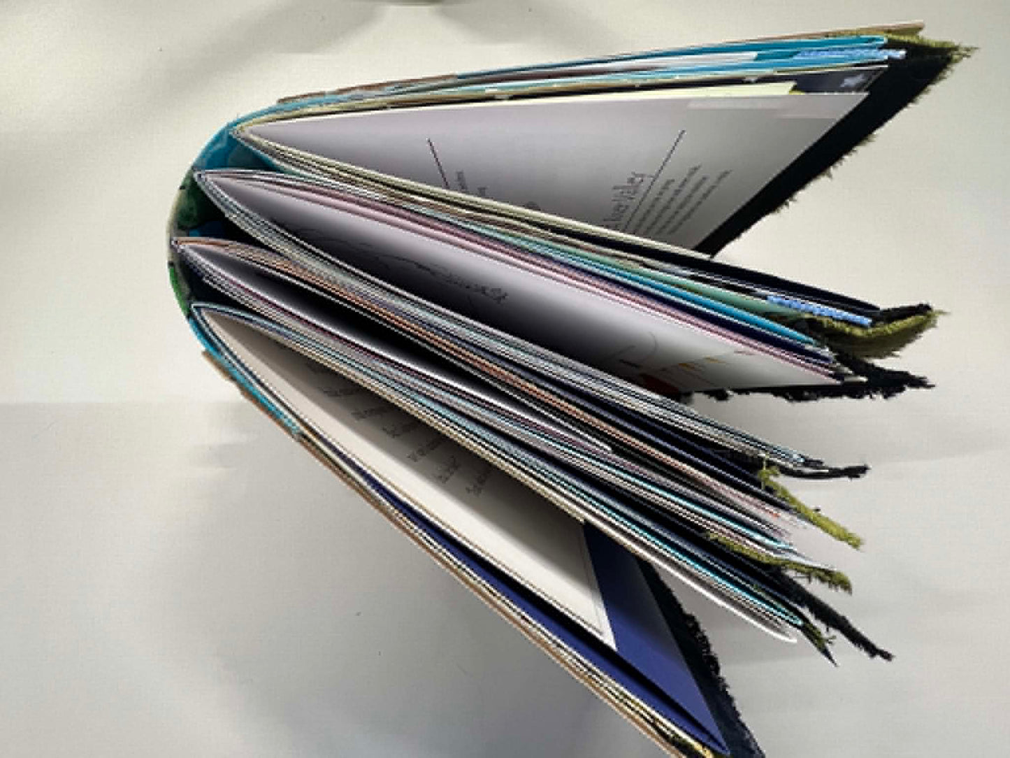 Junk Journal: A Roaring Adventure