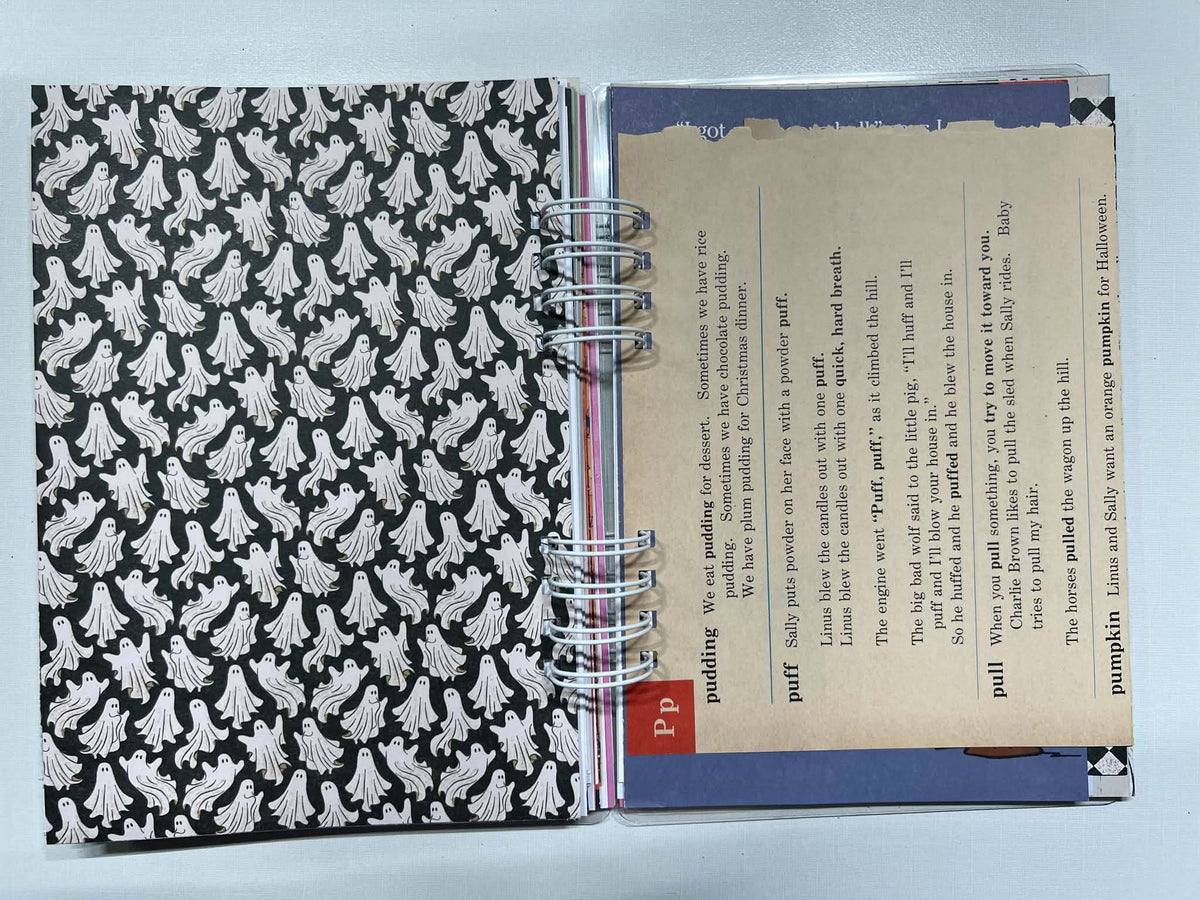 Junk Journal: You Got A Rock Charlie Brown