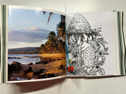 Junk Journal: Welcome to Pandora