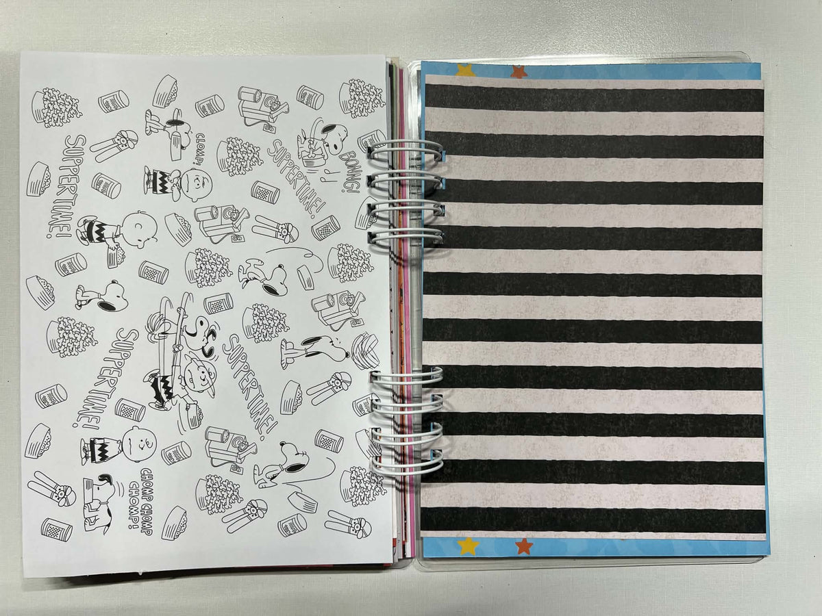Junk Journal: You Got A Rock Charlie Brown