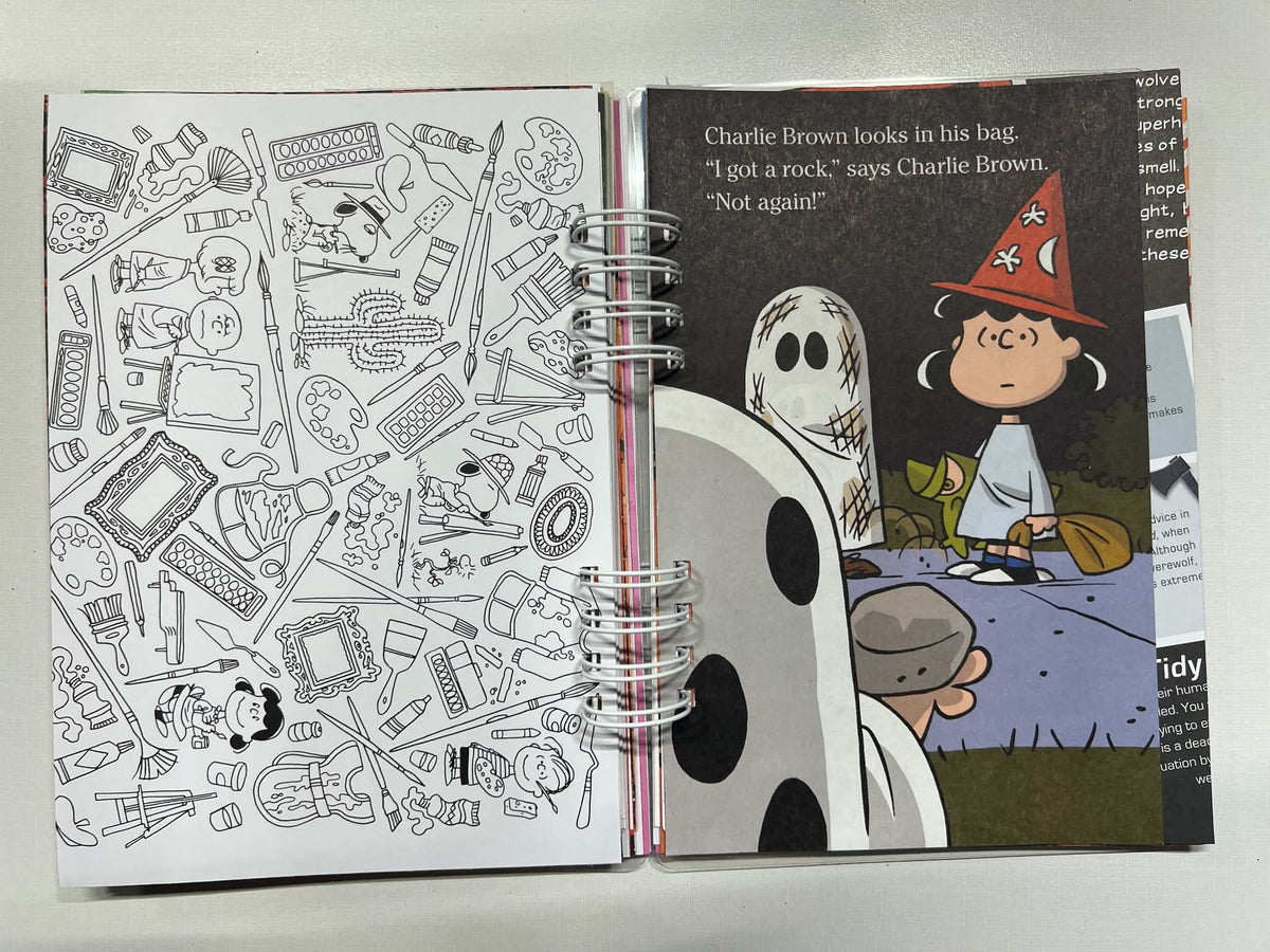 Junk Journal: You Got A Rock Charlie Brown