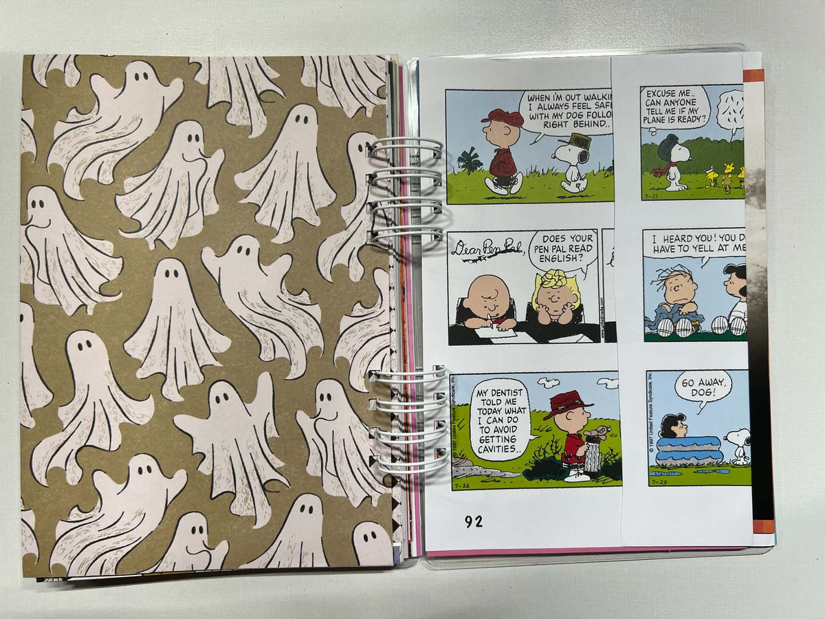 Junk Journal: You Got A Rock Charlie Brown