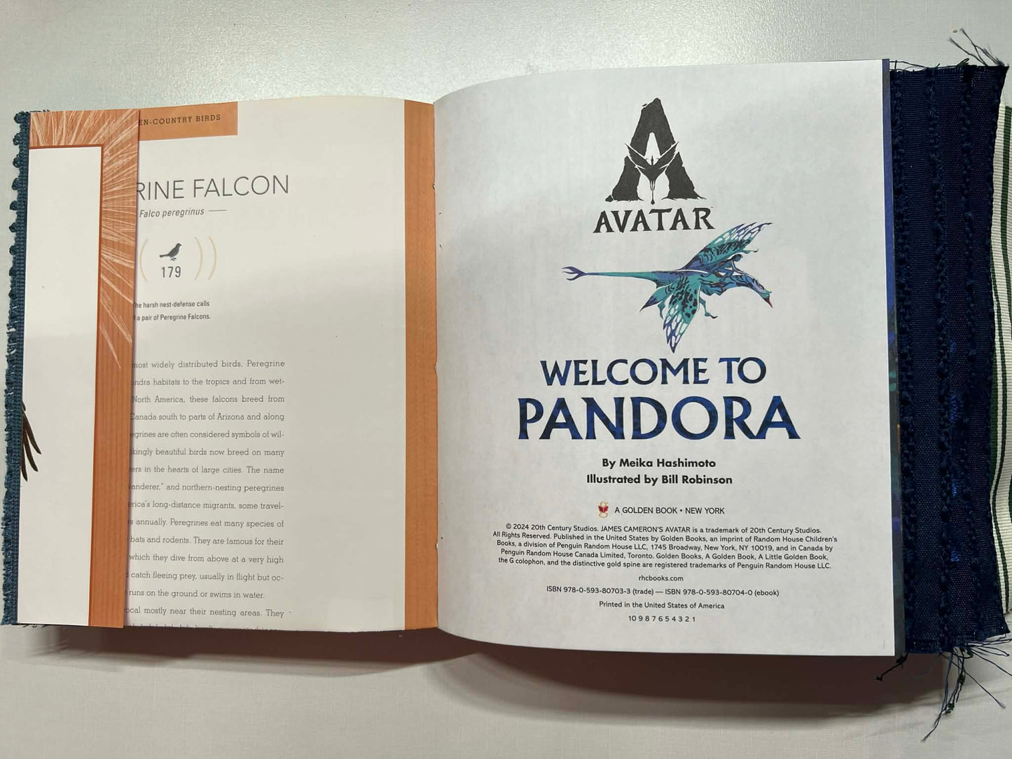 Junk Journal: Welcome to Pandora