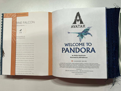 Junk Journal: Welcome to Pandora