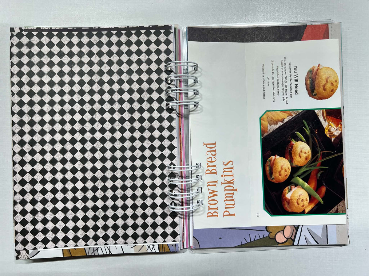 Junk Journal: You Got A Rock Charlie Brown