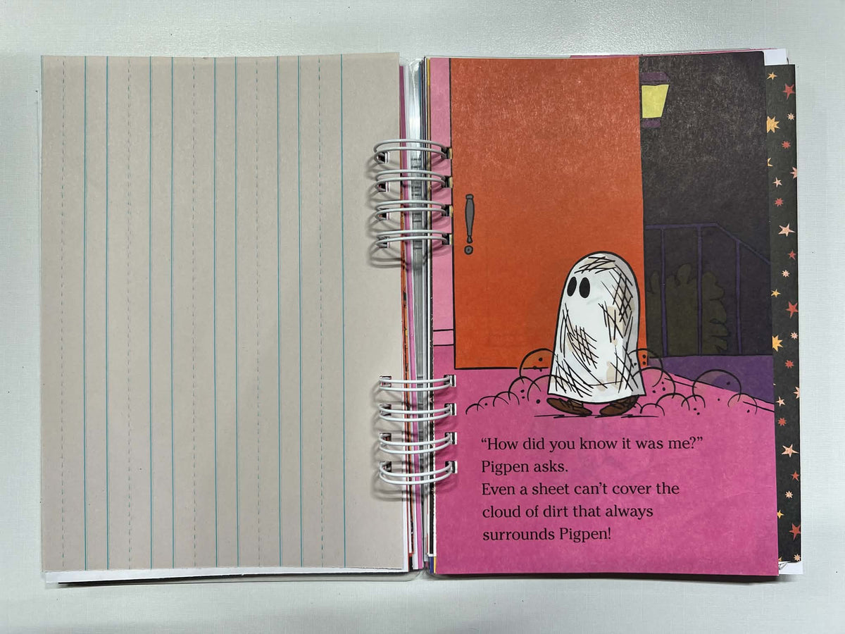 Junk Journal: You Got A Rock Charlie Brown