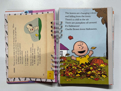 Junk Journal: You Got A Rock Charlie Brown